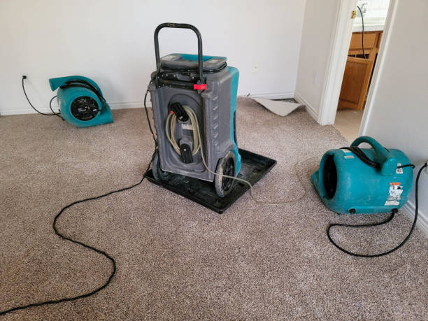 Best Water damage restoration cost  in Lapwai, ID