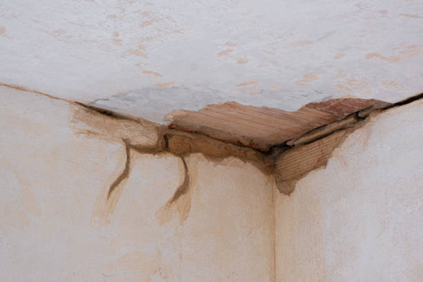 Best Flood restoration services  in Lapwai, ID