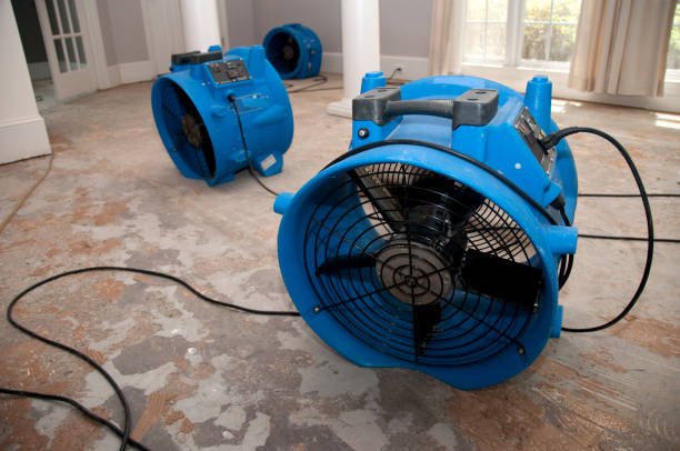 Best 24-hour water damage restoration  in Lapwai, ID