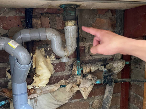 Best Mold removal after water damage  in Lapwai, ID