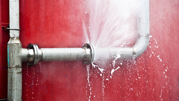 Carpet water damage restoration in Lapwai, ID